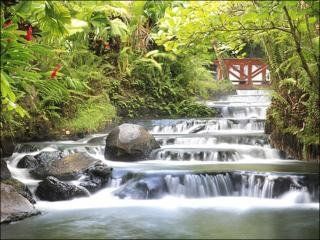 Tabacon Grand Spa Thermal Resort Núi lửa Núi lửa Arenal Ngoại thất bức ảnh